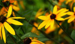 双流电脑培训学校